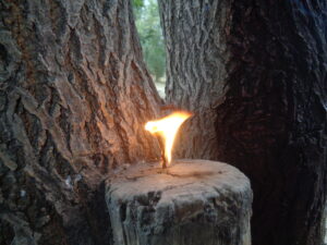 Self-stigma burned me.